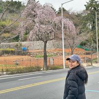 trangmuondihanquoc99