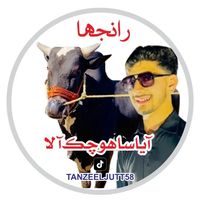 tanzeeljutt58