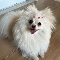 zoe.zozo