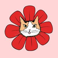 florabyendo