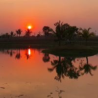 សំឡេងដើម - 🌾សម្លេង👂🧠
