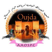 pigeon48oujda