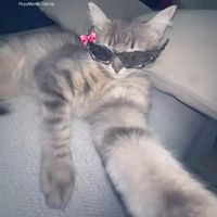 _riya_chowdhury_0