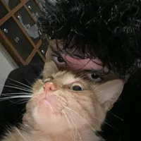 original sound - tiktok_foox