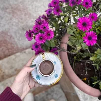 original sound - nslh.8