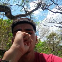 oolvin_5