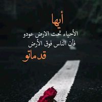 wissdom.44
