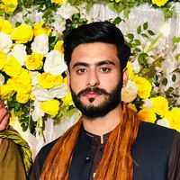 mianmajid8022