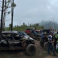 b.c.h.a.100