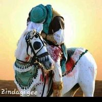 zindagigee88