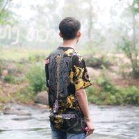dansavanh_m