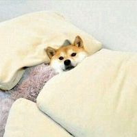 오리지널 사운드 - 집플리 (집순이플레이리스트)