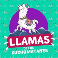 llamasdeloscuchumatanes