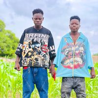 zizolasap1