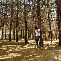 monito_lima1345