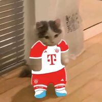 cosbesill01_tiktok