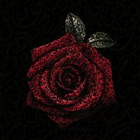 shehenazmoosa