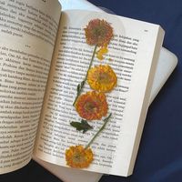 books.recommend.p
