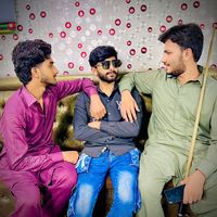 idiots_vines1