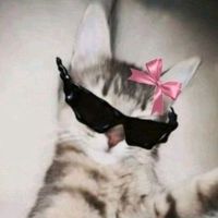 original sound - 🦋