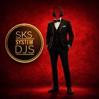 skssystemdjs
