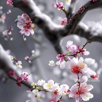 오리지널 사운드 - 석이