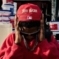 RENARD BARAKISSA DOS DE CHAT