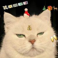 liliplussize2