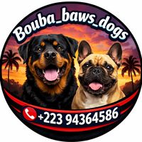 bouba_baws2