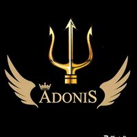 adonis_s40