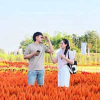 aomam9019