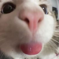 aleju.js