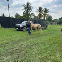 ardilla_cruz09