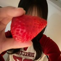 td_rena02