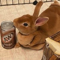 mugi_minirex