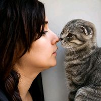 qara_bextli_ilahem