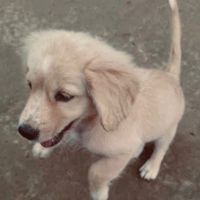 asmipakhrin_5