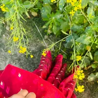 AJ vi to Aya na .Thora kalvi nehi