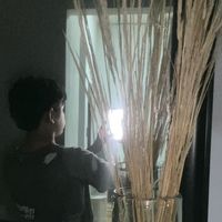 evanarturo3312