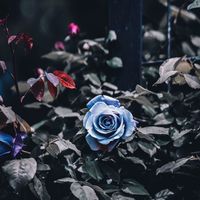 オリジナル楽曲 - あつうみけ