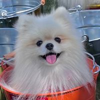 オリジナル楽曲 - ききたん