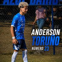 el.pro.anderson.tl