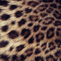 オリジナル楽曲 - ぽ