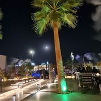 somahmoud695