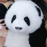 原声 - Wonder Panda