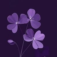 dipashree_24