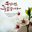 오리지널 사운드 - 산장의 여인