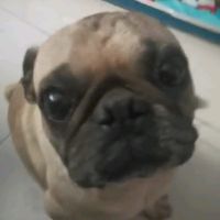 cesarchivas2