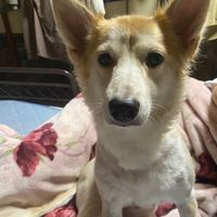 user3321121736720