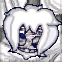 _sayfen_vil_